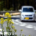 エコタイヤ性能比較2016 メーカー別展開を実現 更に詳しく