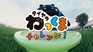 トーヨーのゆるキャラ タイヤのわっくま