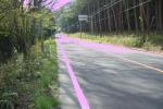 峠登り
